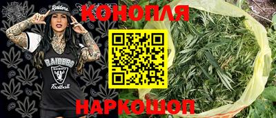 ПСИЛОЦИБИНОВЫЕ ГРИБЫ Вязники