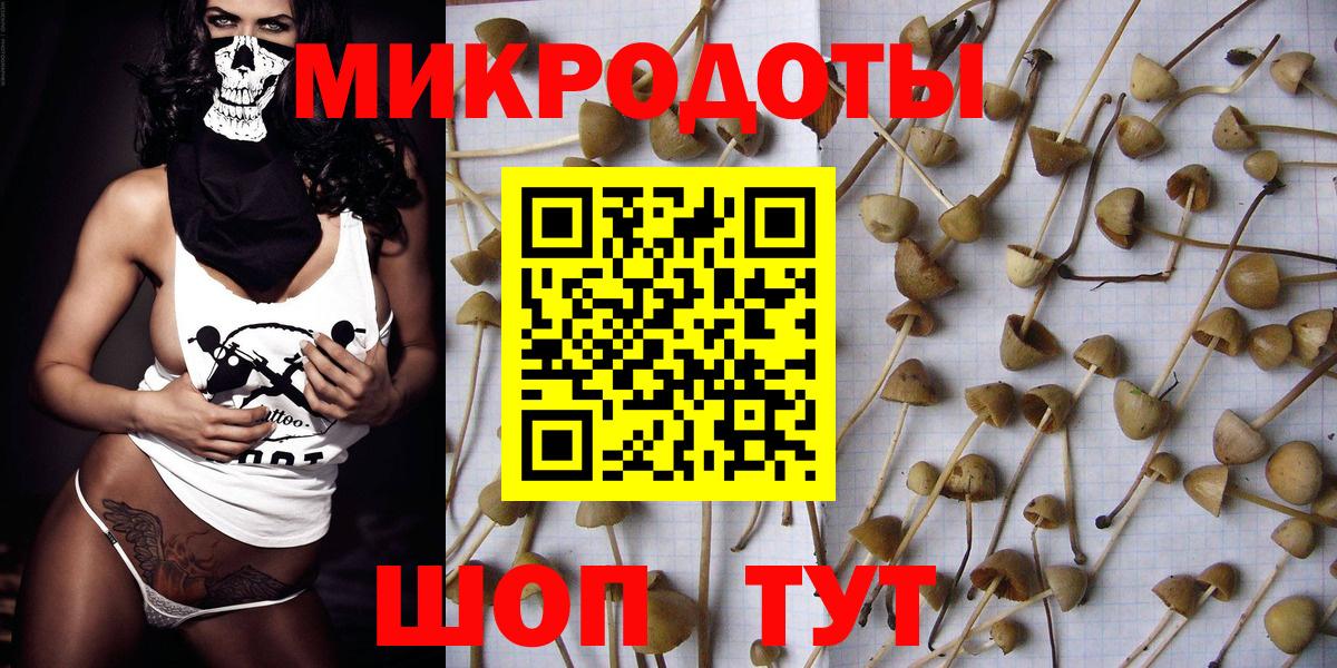 Галлюциногенные грибы Psilocybe Воткинск