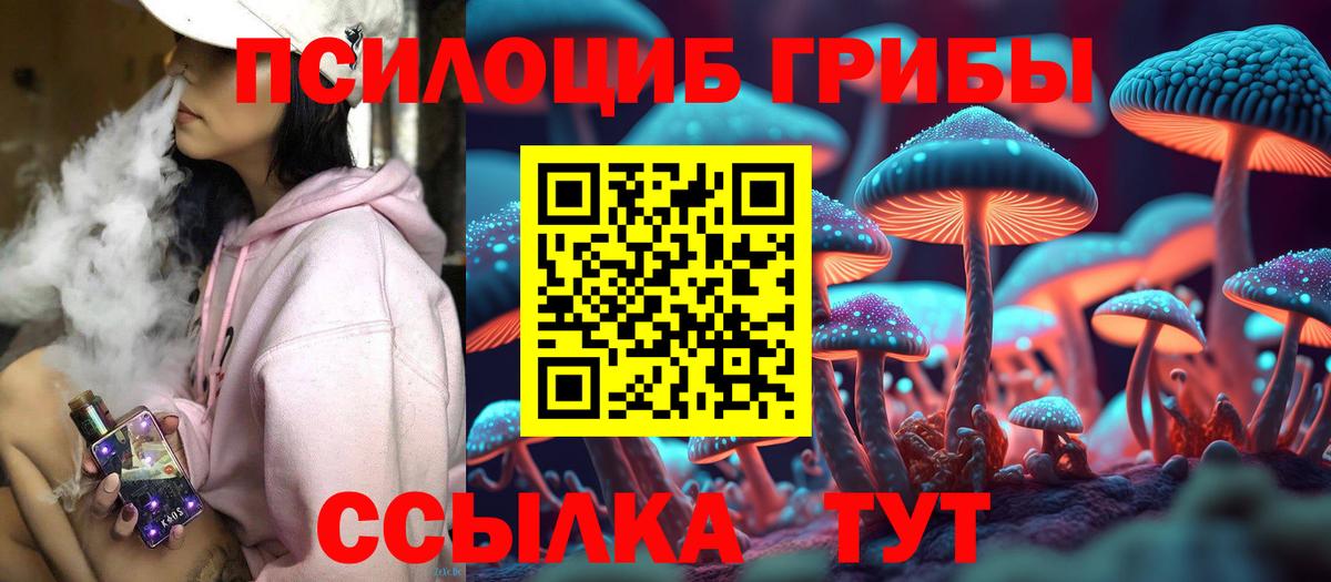 Галлюциногенные грибы Cubensis  Галлюциногенные грибы мицелий  Вход с VPN  Воткинск 